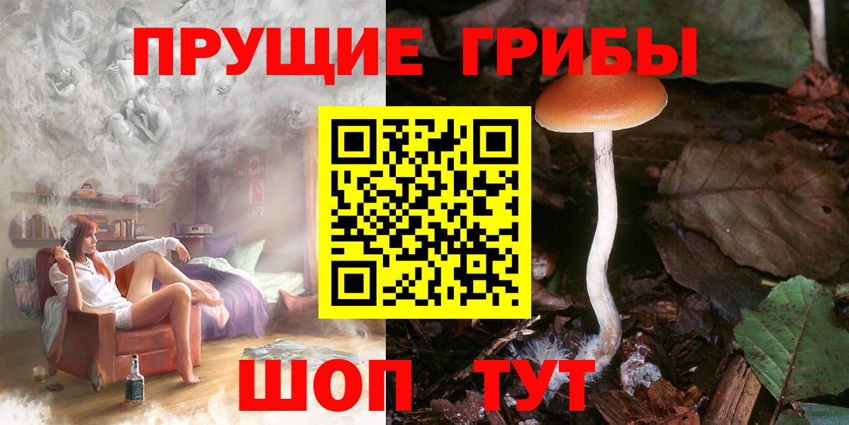 Галлюциногенные грибы MAGIC MUSHROOMS Новочебоксарск